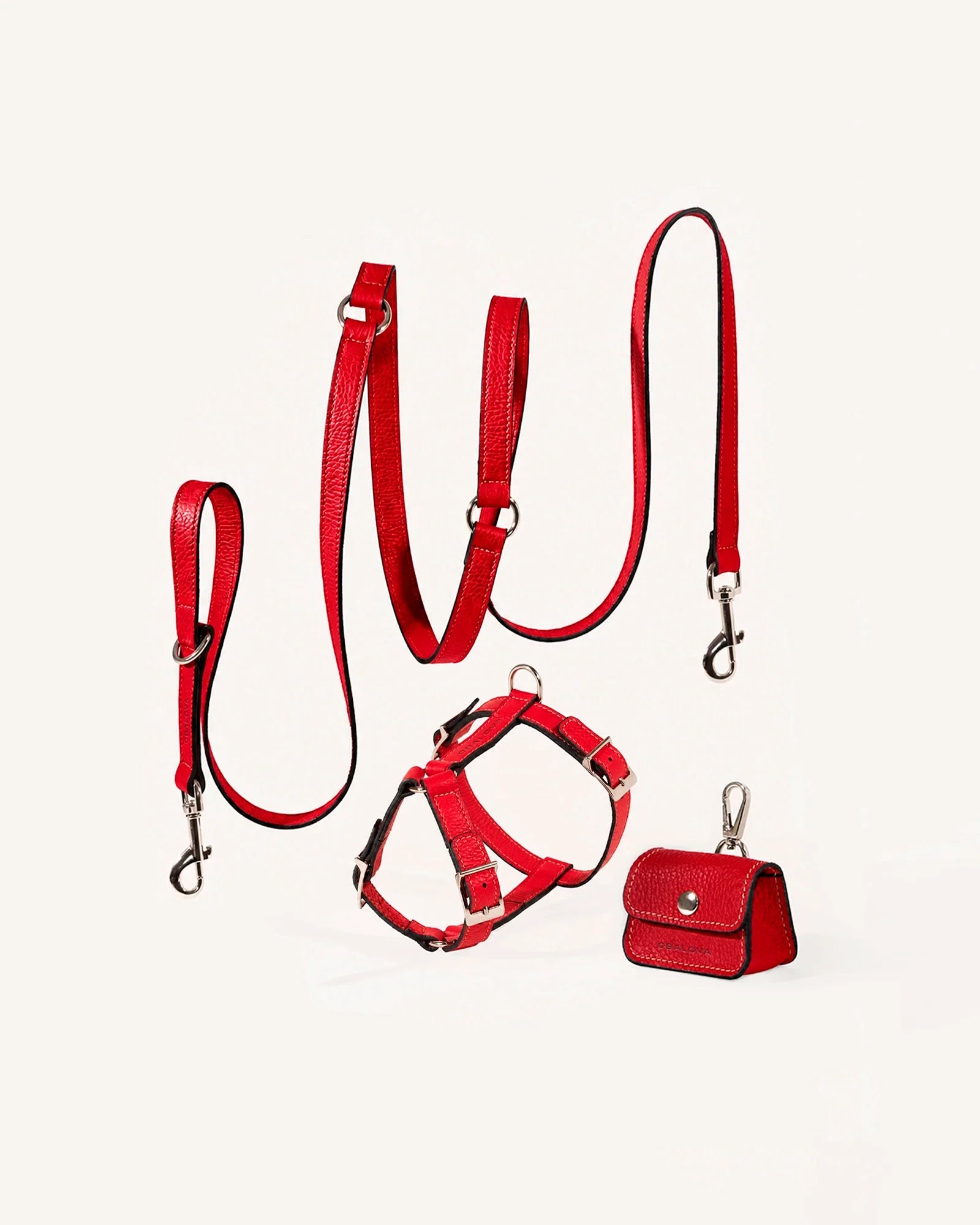Kits de paseo con arnés
