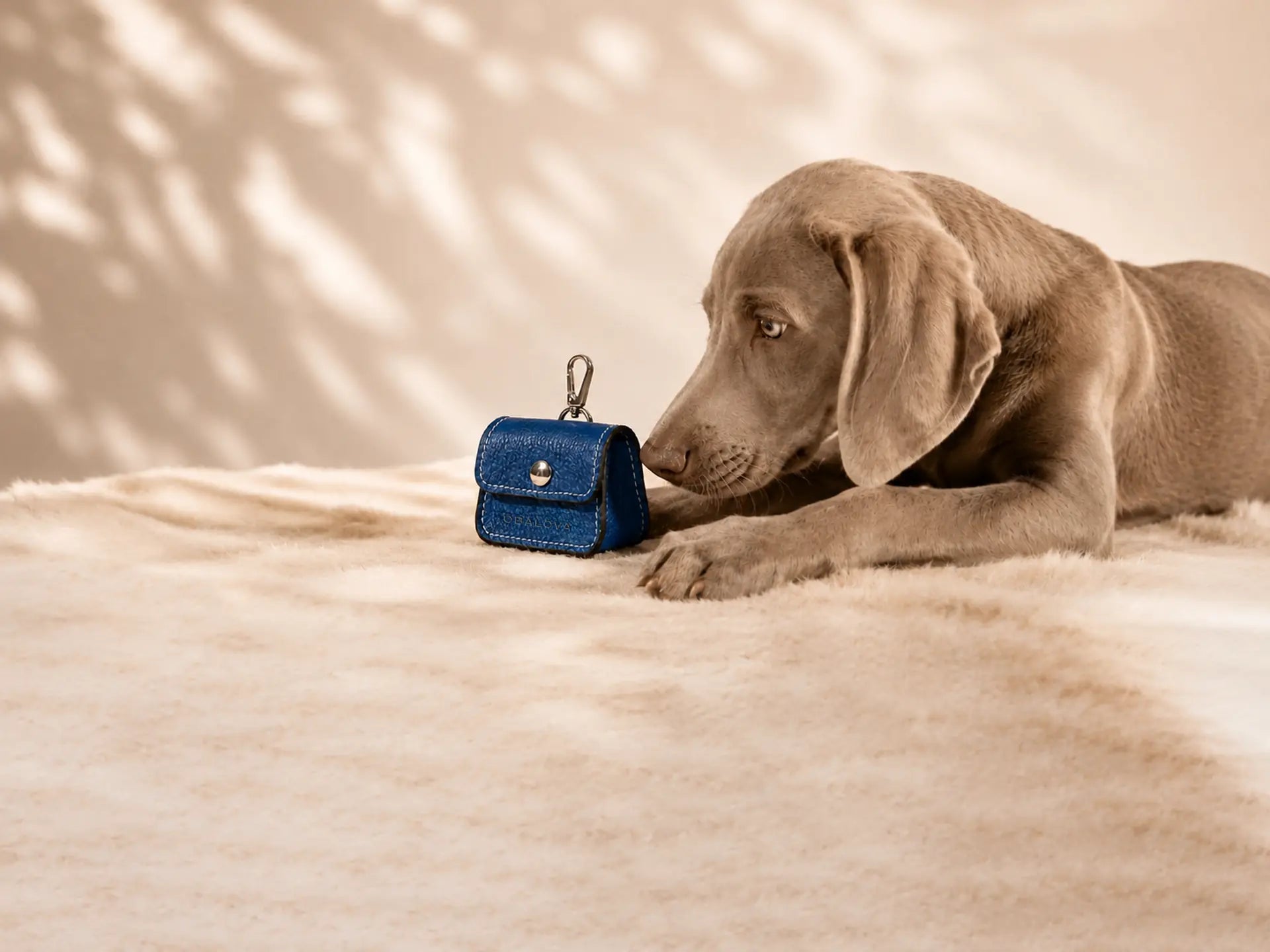Porta bolsas para perros