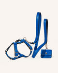 Kit Arnés y Correa Clásica Cobalt