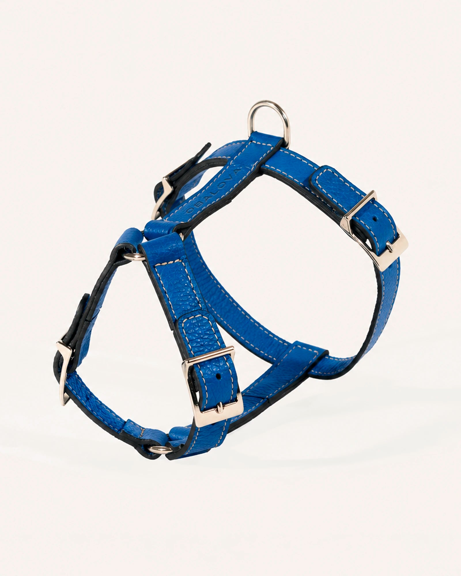 ARNÉS H DE PERRO COBALT