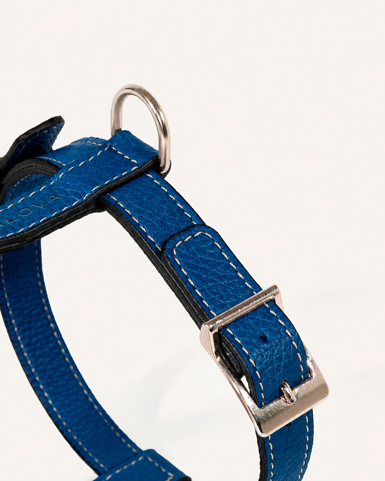 ARNÉS H DE PERRO COBALT