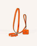 Kit Collar y Correa Clásica Amber