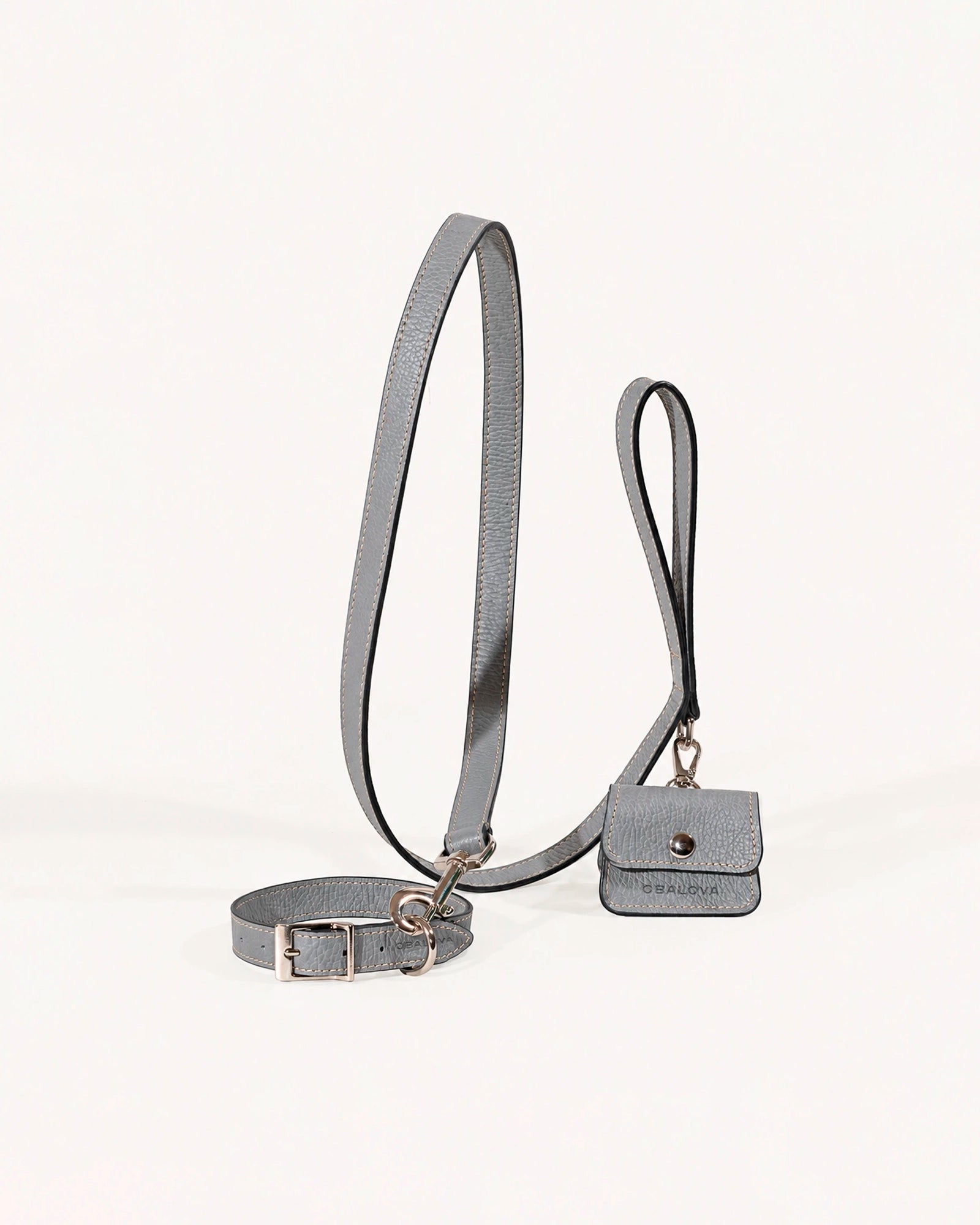 Kit Collar y Correa Clásica Ash