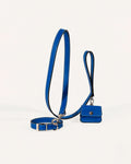 Kit Collar y Correa Clásica Cobalt