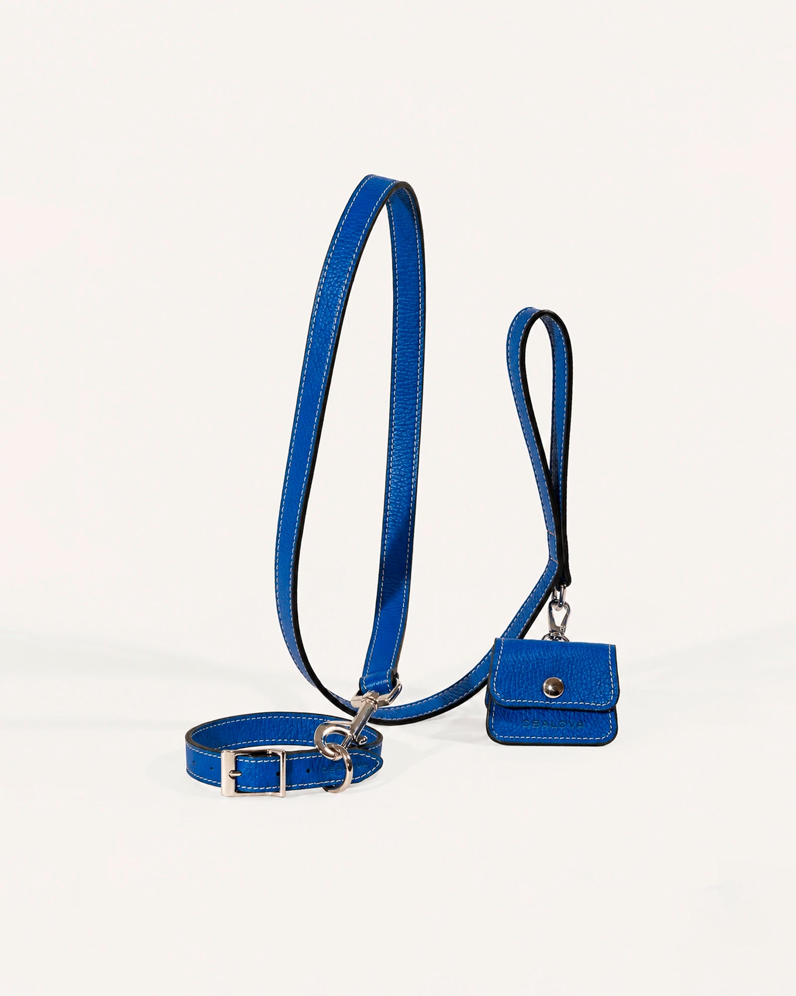 Kit Collar y Correa Clásica Cobalt