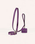 Kit Collar y Correa Clásica Iris