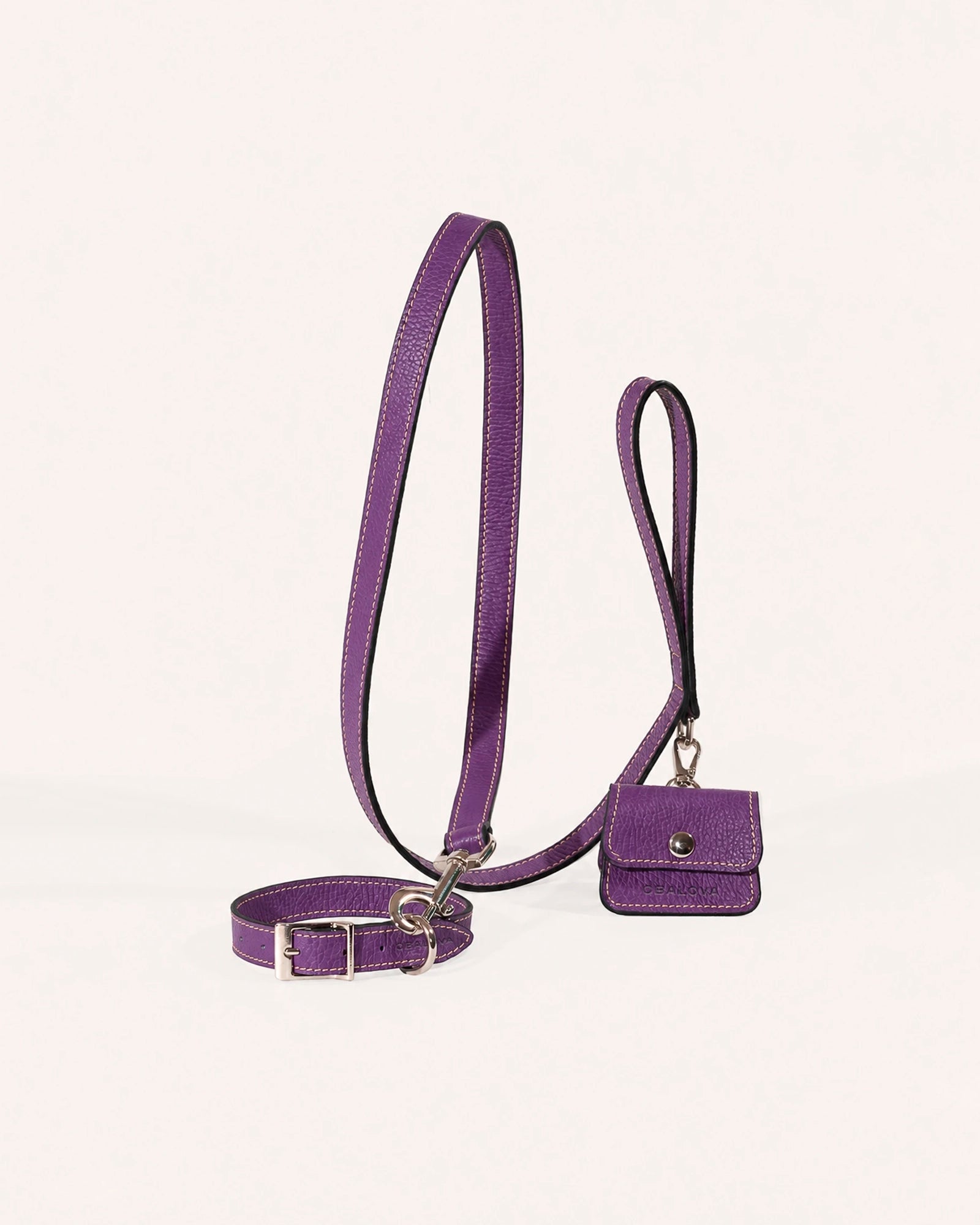 Kit Collar y Correa Clásica Iris