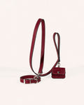Kit Collar y Correa Clásica Oxford