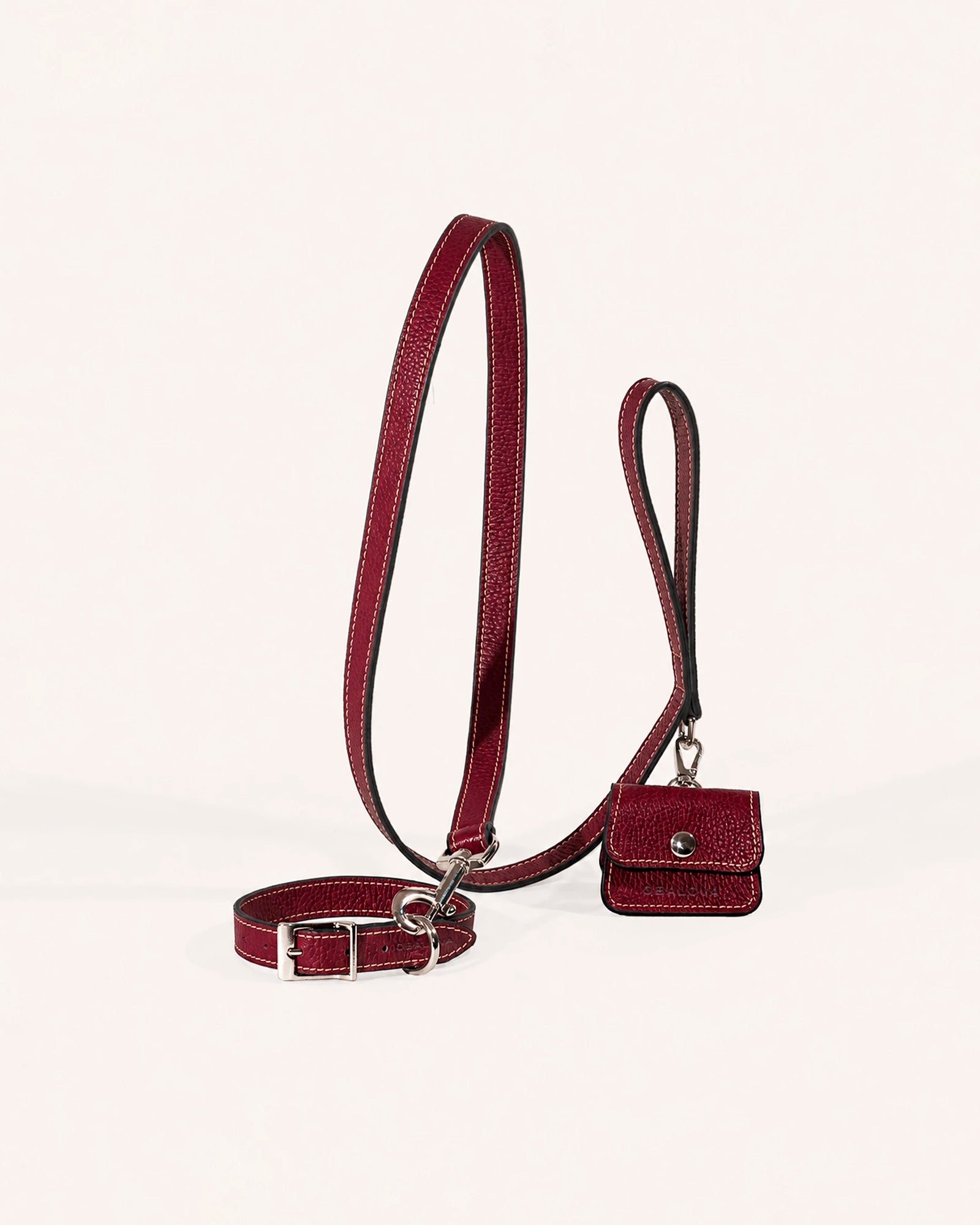 Kit Collar y Correa Clásica Oxford