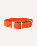 COLLAR DE PERRO AMBER