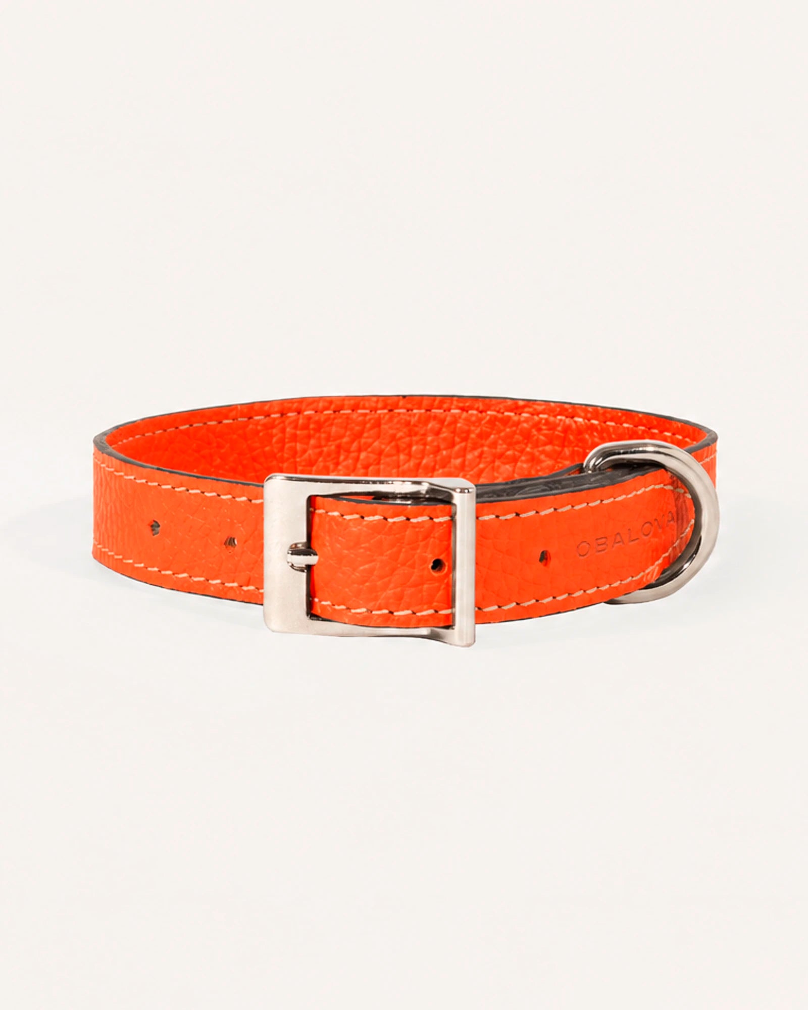 COLLAR DE PERRO AMBER
