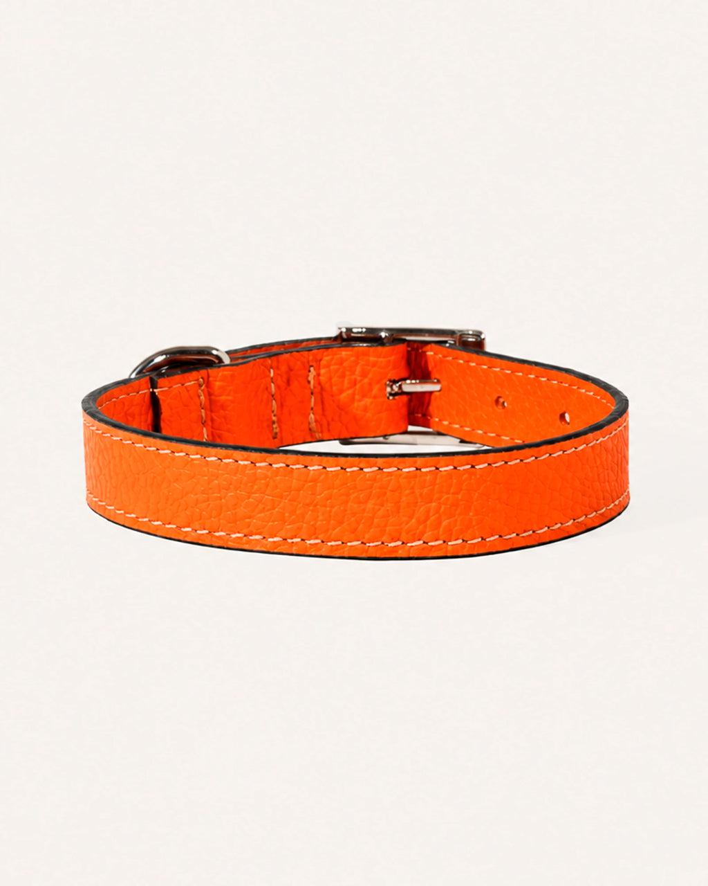 COLLAR DE PERRO AMBER