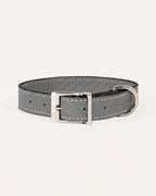 COLLAR DE PERRO ASH