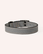 COLLAR DE PERRO ASH