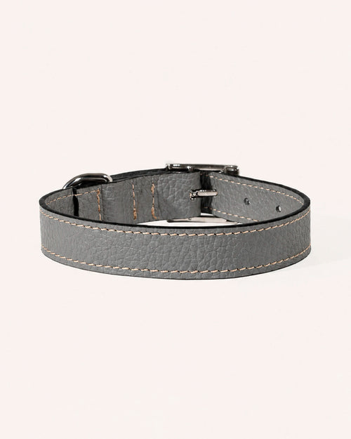 COLLAR DE PERRO ASH