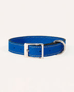 COLLAR DE PERRO COBALT