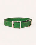 COLLAR DE PERRO FOREST