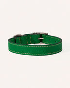 COLLAR DE PERRO FOREST