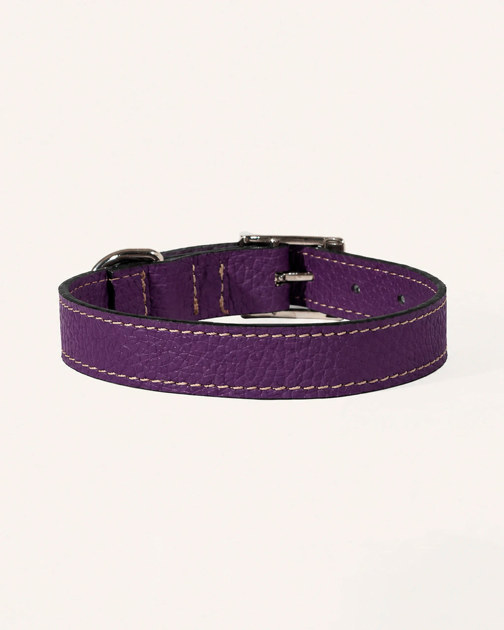 COLLAR DE PERRO IRIS