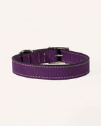 COLLAR DE PERRO IRIS