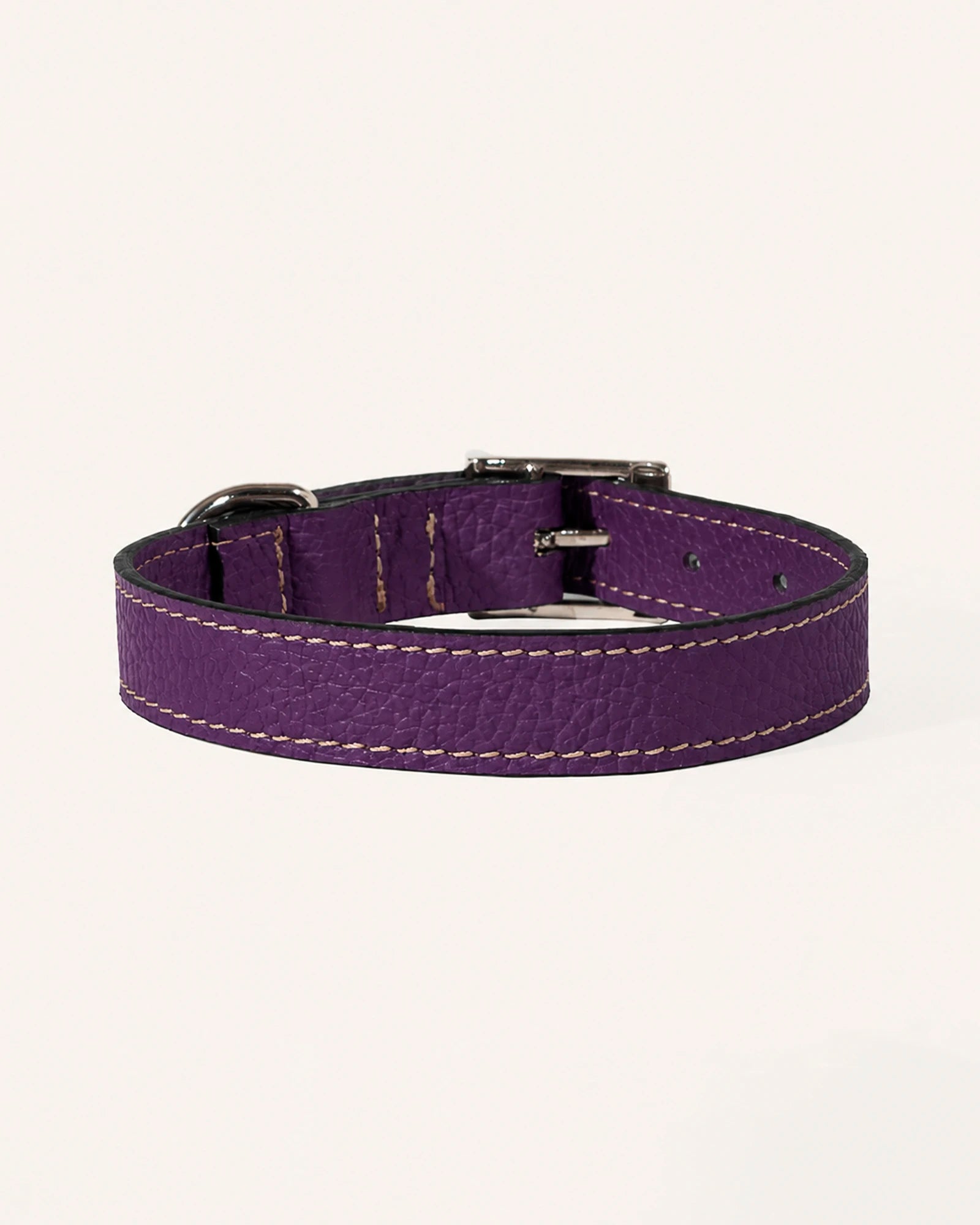 COLLAR DE PERRO IRIS