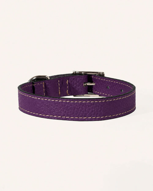 COLLAR DE PERRO IRIS