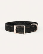 COLLAR DE PERRO JET