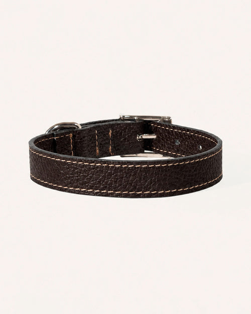 COLLAR DE PERRO JET