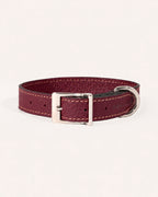 COLLAR DE PERRO OXFORD