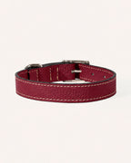 COLLAR DE PERRO OXFORD