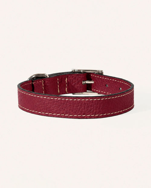 COLLAR DE PERRO OXFORD