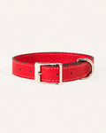 COLLAR DE PERRO SCARLET