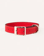 COLLAR DE PERRO SCARLET