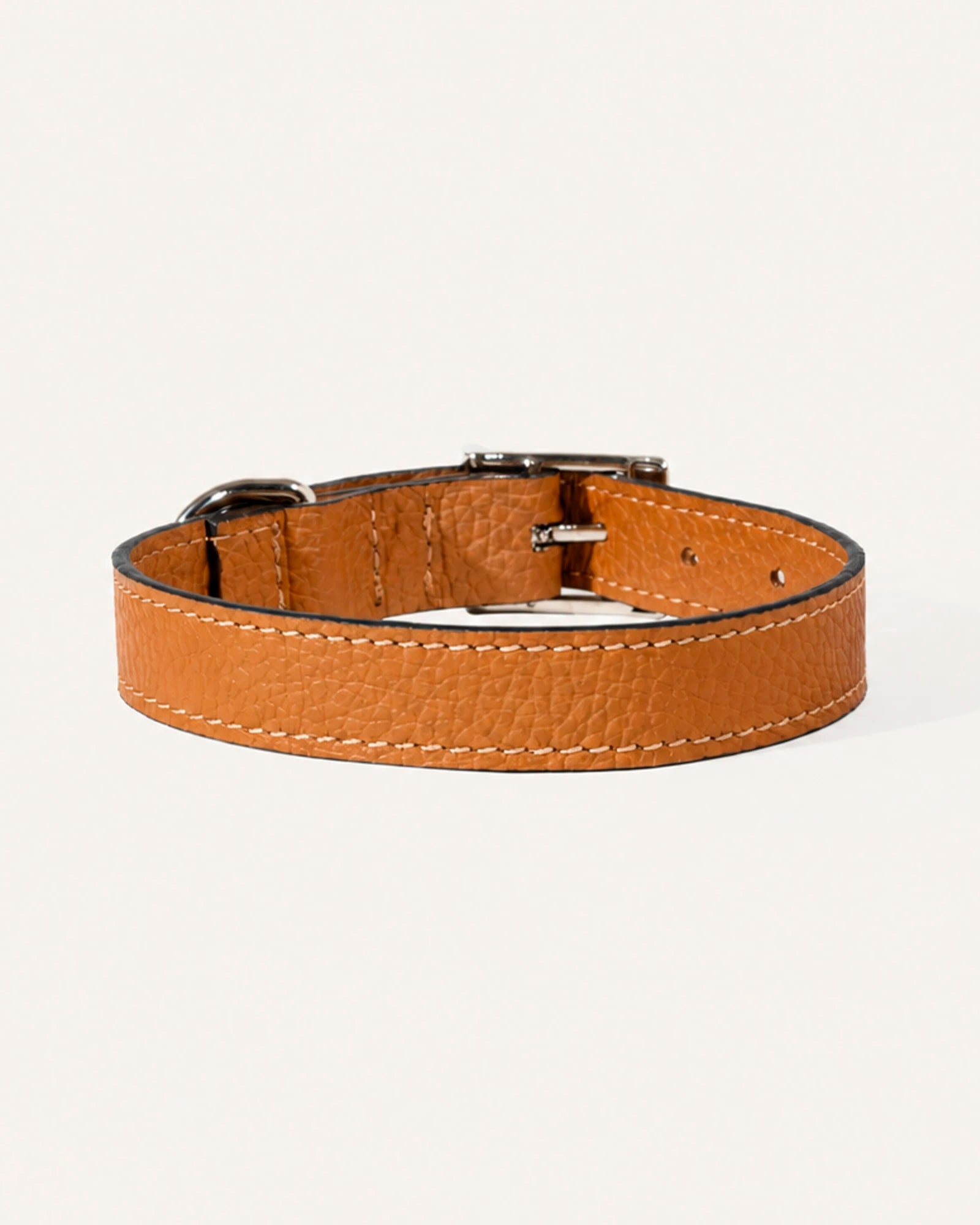 COLLAR DE PERRO TERRA
