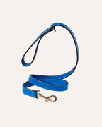 CORREA DE PERRO CLÁSICA COBALT