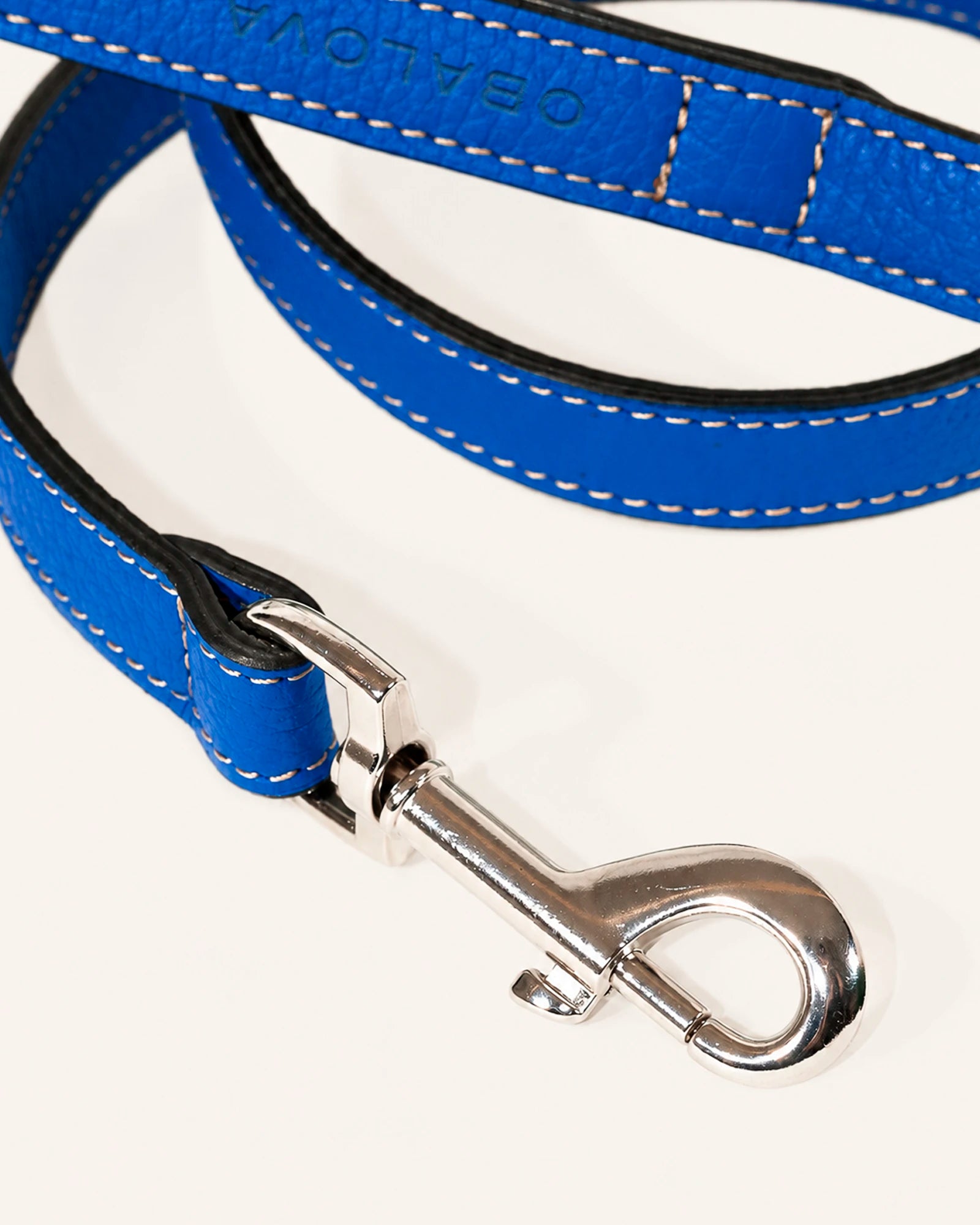 CORREA DE PERRO CLÁSICA COBALT